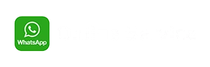 WhatsApp-Online-logo-3
